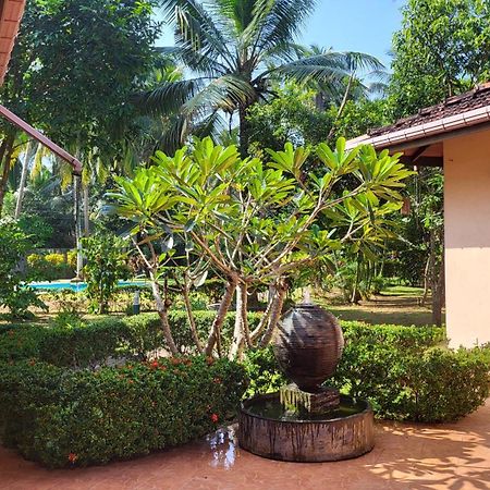 King Coconut Lodge Habaraduwa Central المظهر الخارجي الصورة