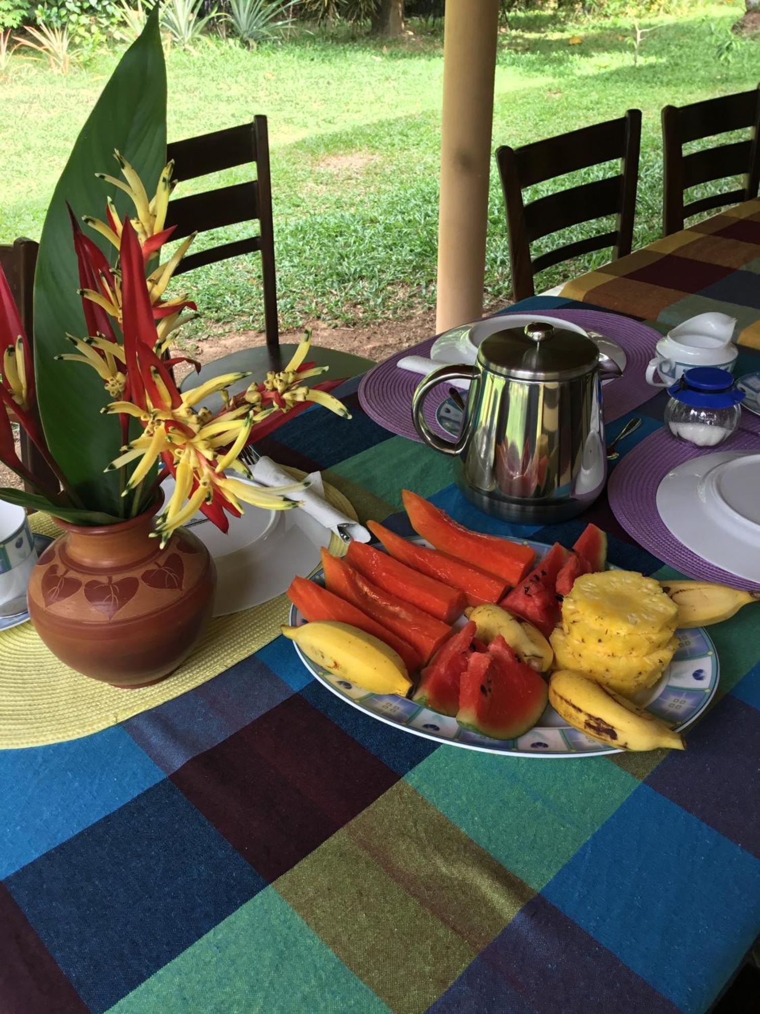 King Coconut Lodge Habaraduwa Central المظهر الخارجي الصورة