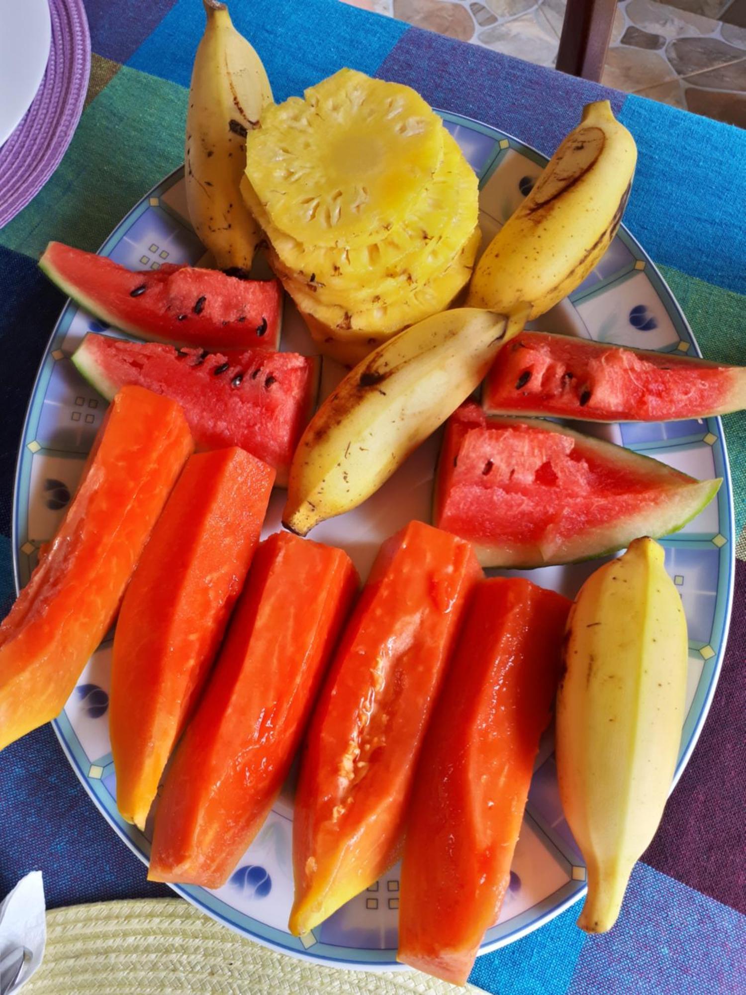 King Coconut Lodge Habaraduwa Central المظهر الخارجي الصورة