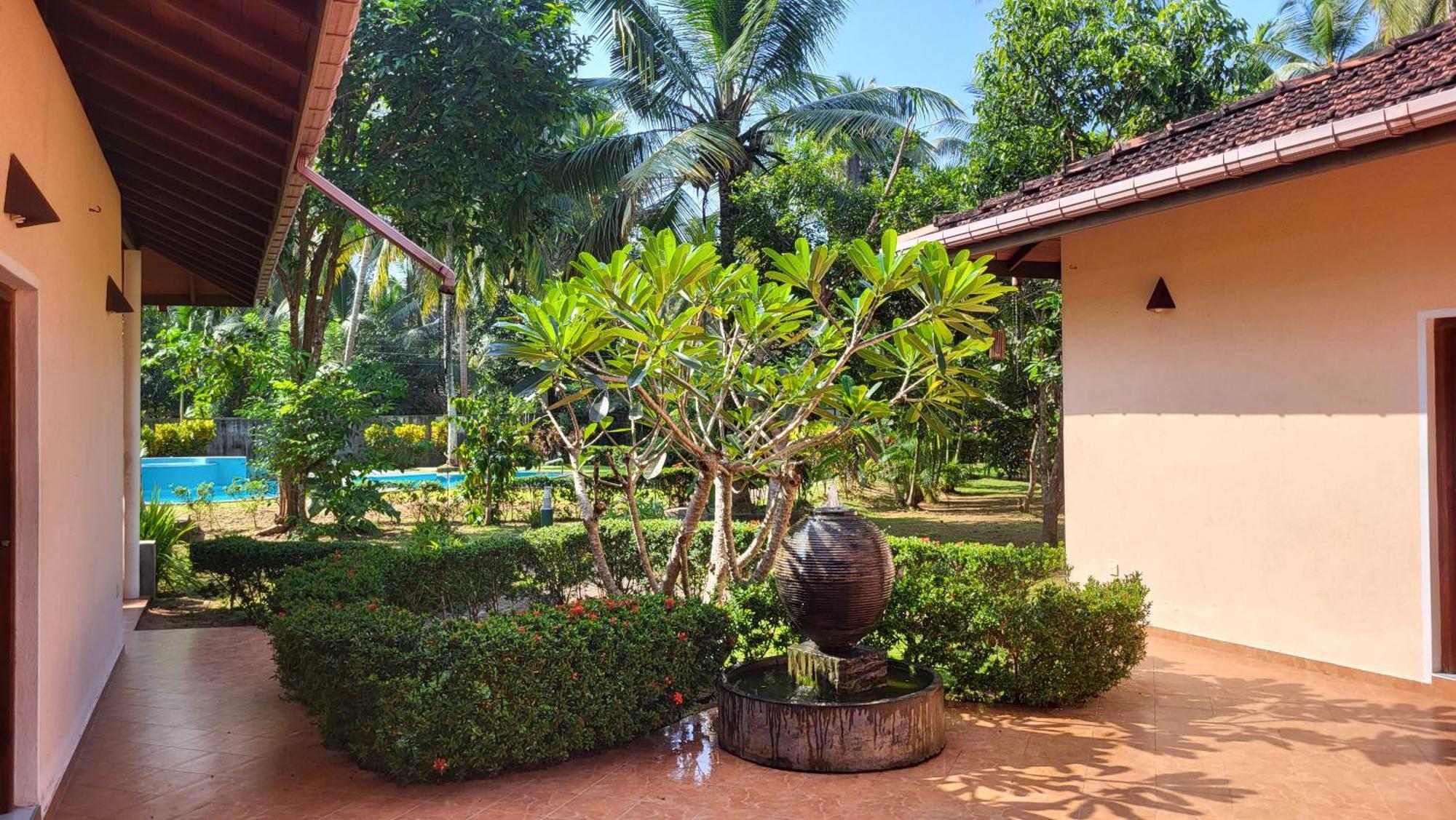 King Coconut Lodge Habaraduwa Central المظهر الخارجي الصورة