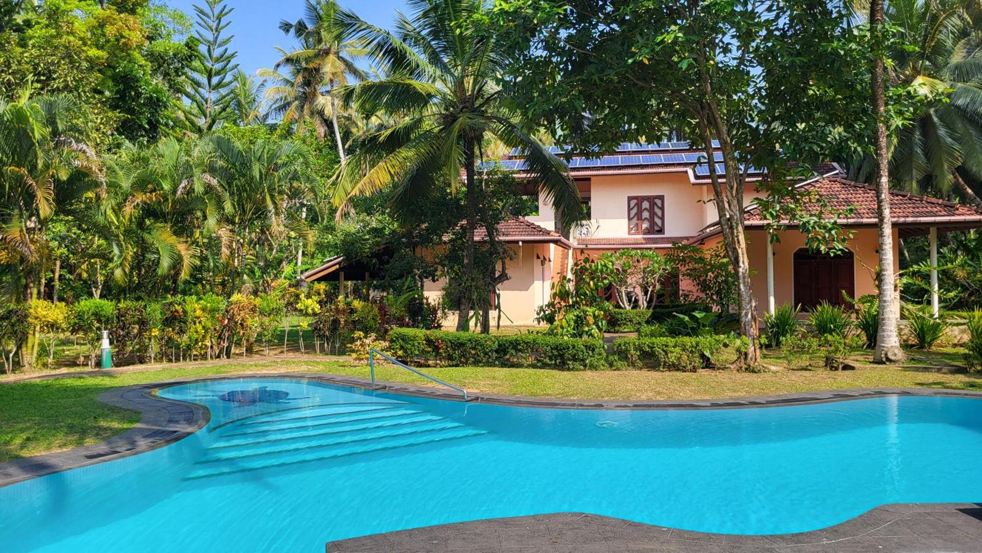 King Coconut Lodge Habaraduwa Central المظهر الخارجي الصورة