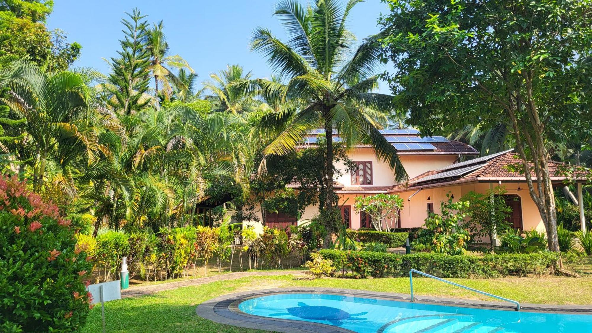 King Coconut Lodge Habaraduwa Central المظهر الخارجي الصورة