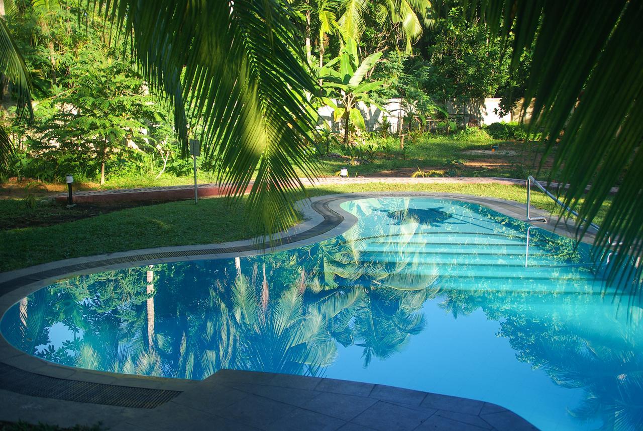 King Coconut Lodge Habaraduwa Central المظهر الخارجي الصورة