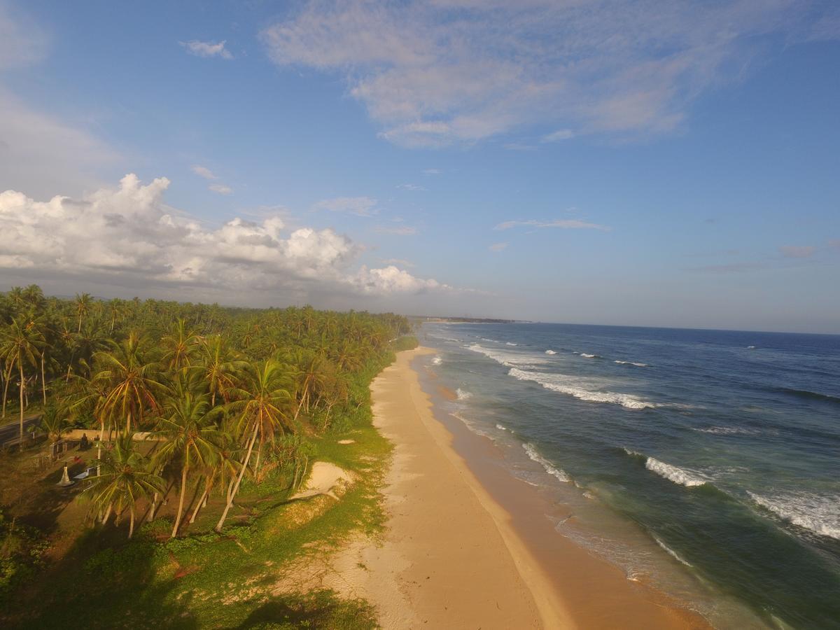 King Coconut Lodge Habaraduwa Central المظهر الخارجي الصورة