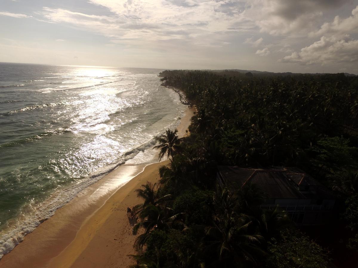King Coconut Lodge Habaraduwa Central المظهر الخارجي الصورة