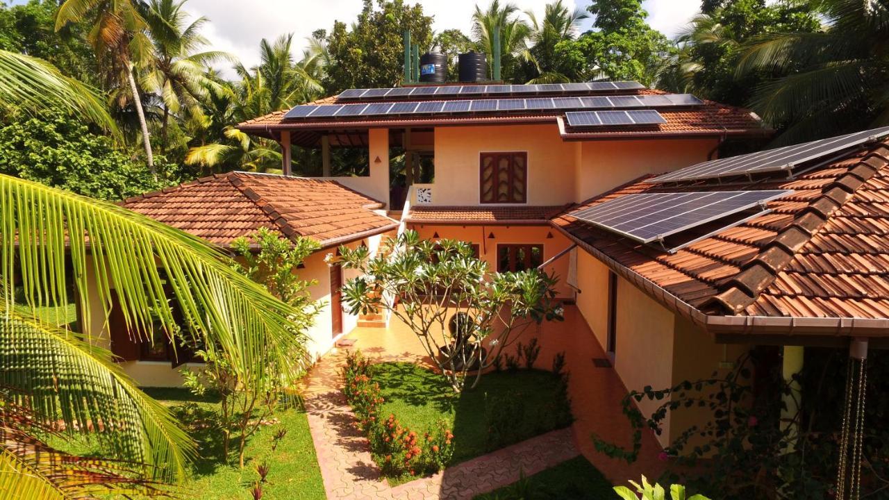 King Coconut Lodge Habaraduwa Central المظهر الخارجي الصورة