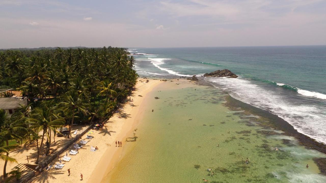 King Coconut Lodge Habaraduwa Central المظهر الخارجي الصورة