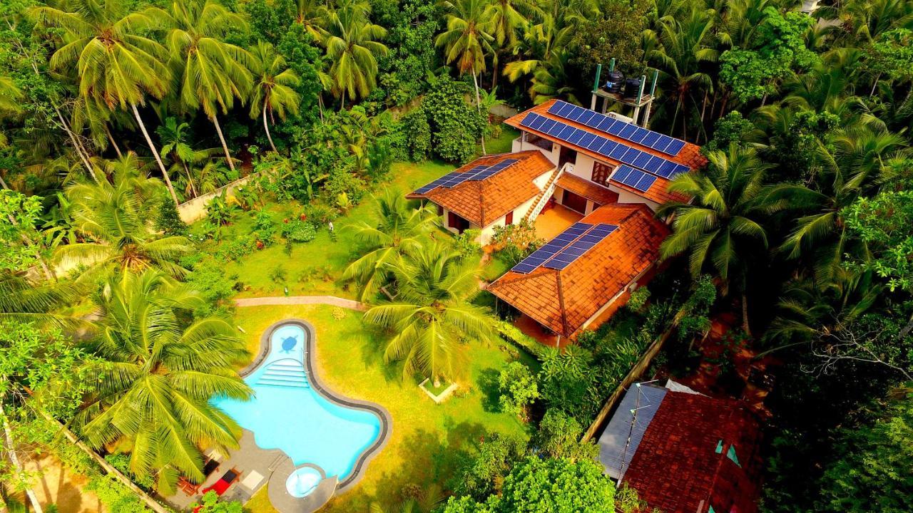 King Coconut Lodge Habaraduwa Central المظهر الخارجي الصورة