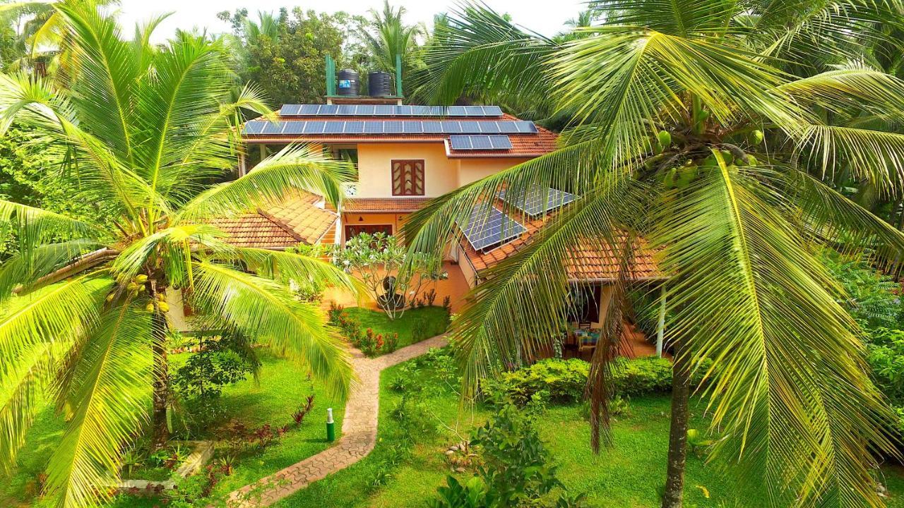 King Coconut Lodge Habaraduwa Central المظهر الخارجي الصورة