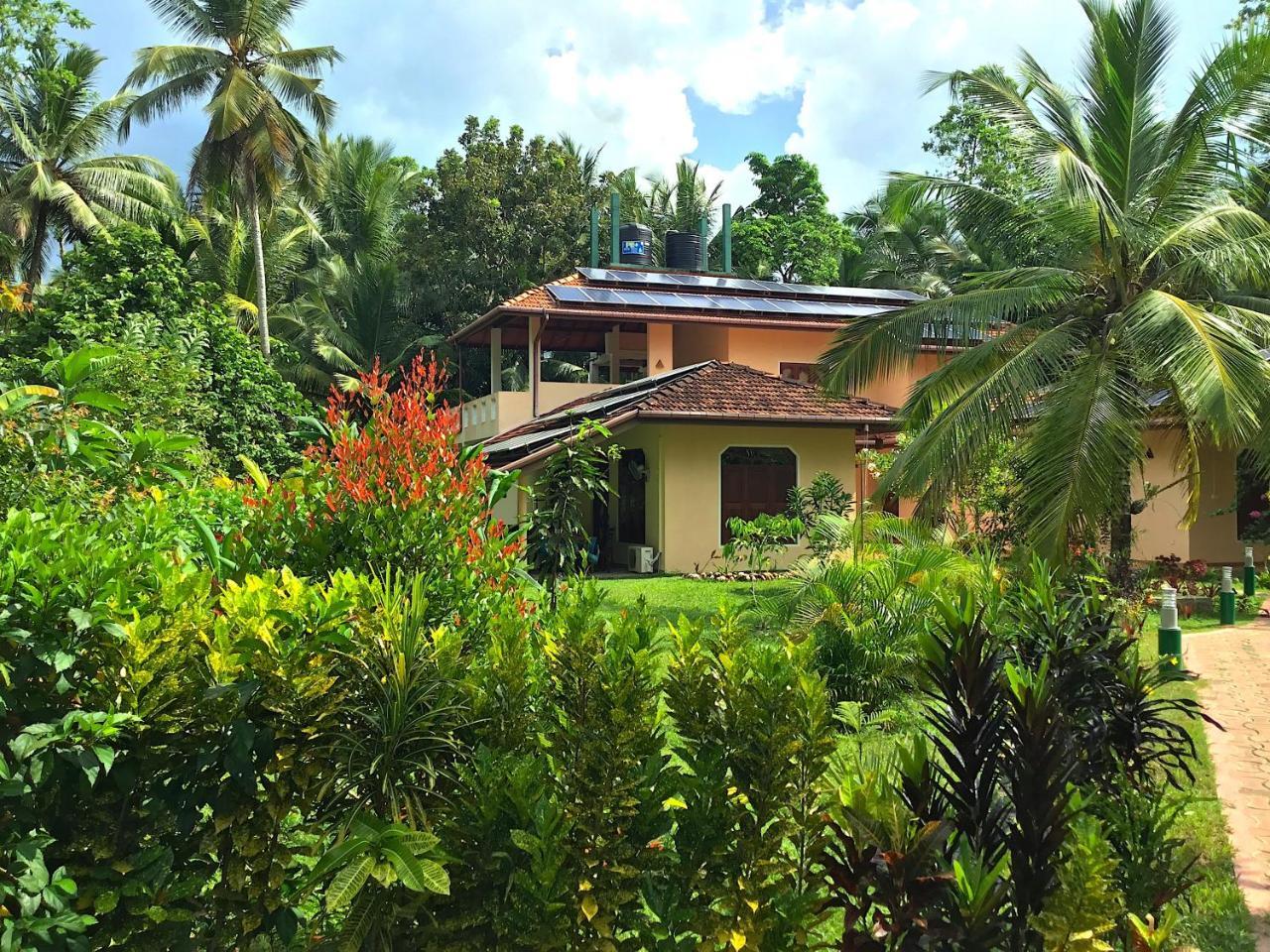 King Coconut Lodge Habaraduwa Central المظهر الخارجي الصورة
